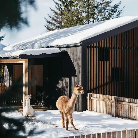 Haven Mountain Retreat Апарт-отель Санкт-Йохан